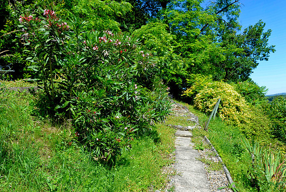 The garden of a 13th house
