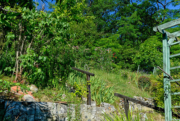 Rear garden