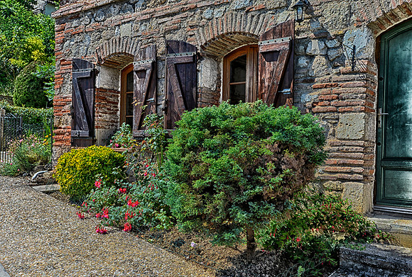The front garden