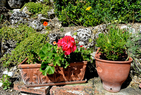 The garden of a 13th house