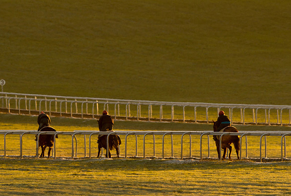 newmarket-0677cr