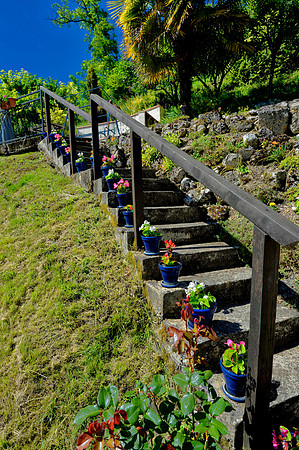 The garden of a 13th house