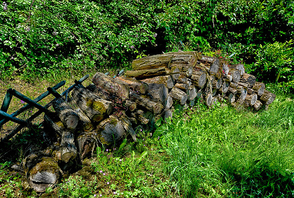 Logs in the garden