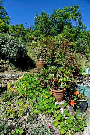 The garden of a 13th house