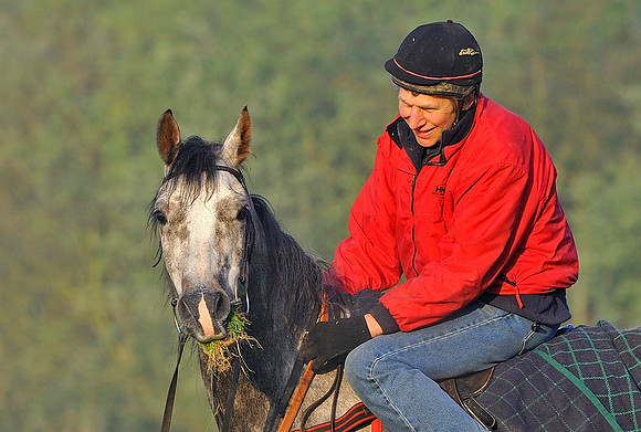 arab-horse-exercise-049P2