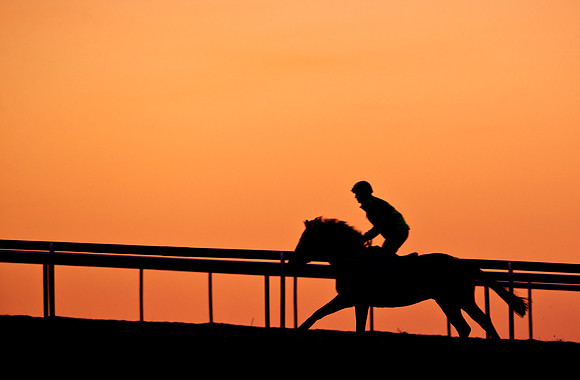 newmarket-0354cr