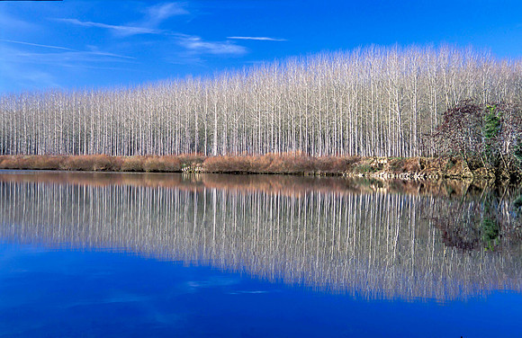 River Garonne