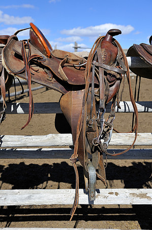 horse-ranch-sombrero-123