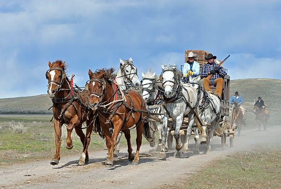 horse-ranch-sombrero-063