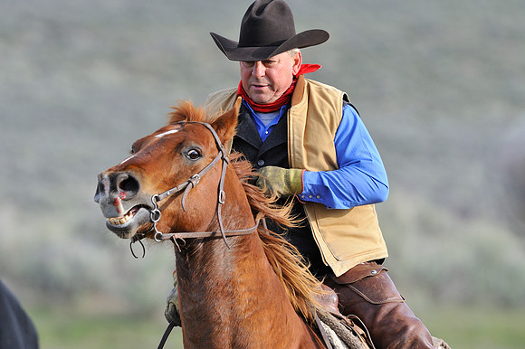 horse-ranch-sombrero-090