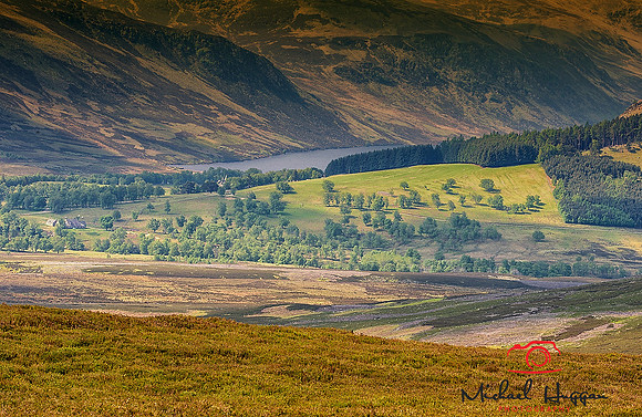 View over Heathlands near Glen Esk