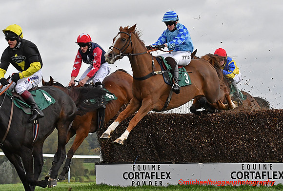 Miss K Lyons (3) on U Me and Them strides the fence at Towcester