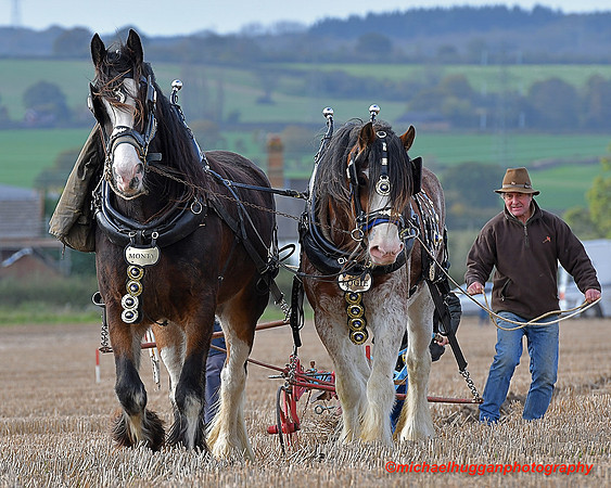 45th All England Heavy Horse Ploughing Championship