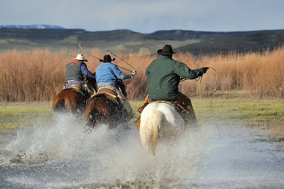 horse-ranch-sombrero-067