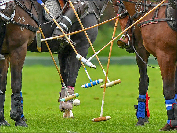 Polo Sticks