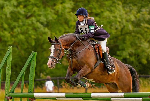 Show Jumping at Wokingham