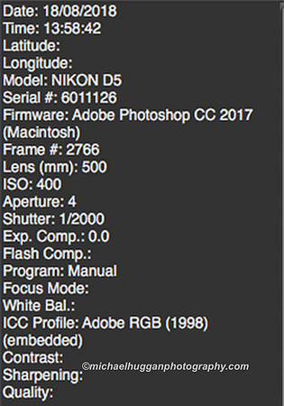 Screen Shot 2018-09-08 at 17.07.55 copyA