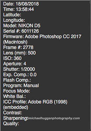 Screen Shot 2018-09-08 at 17.08.24 copyA