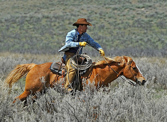 horse-ranch-sombrero-053