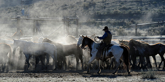horse-ranch-sombrero-164