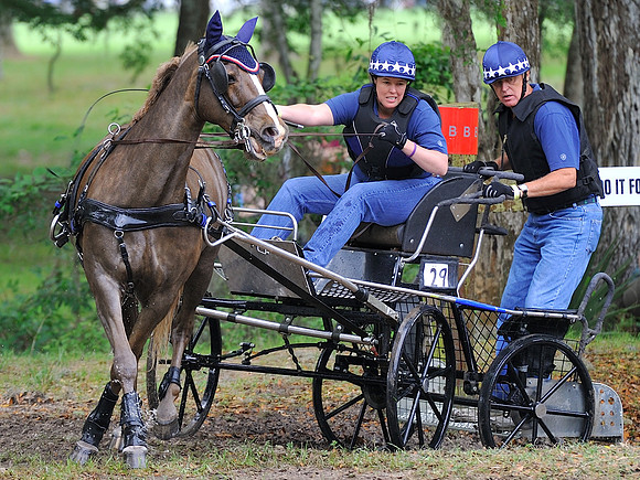 liveoak_carriage_20120324_001A