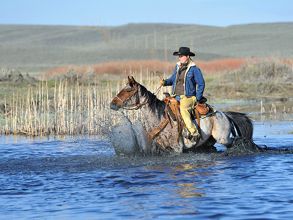 horse-ranch-sombrero-013