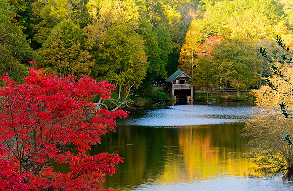 20211101 Winkworth Arboretum.0359