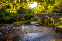20210914 Fingle Bridge.103Nik 1A