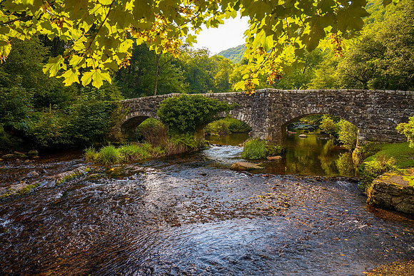 20210914 Fingle Bridge.103Nik 1A