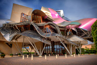 Rioja Study Tour