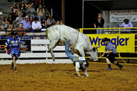 Rodeo - USA
