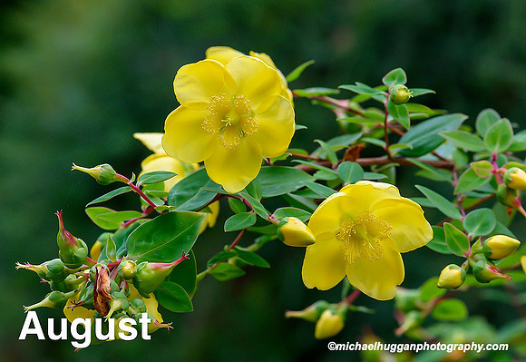 August-2020