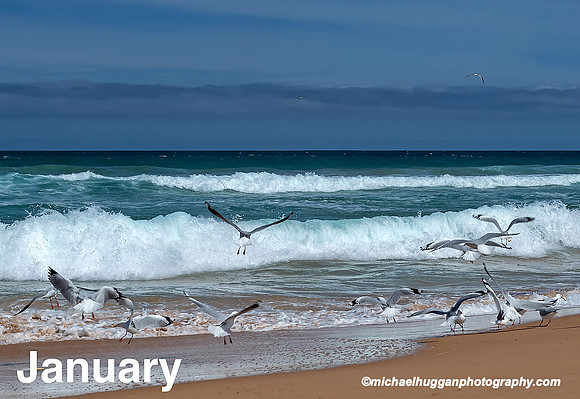 January-2020