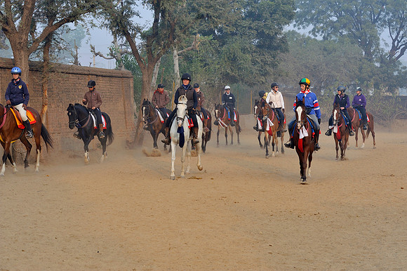 81 Km Endurance Event Stables