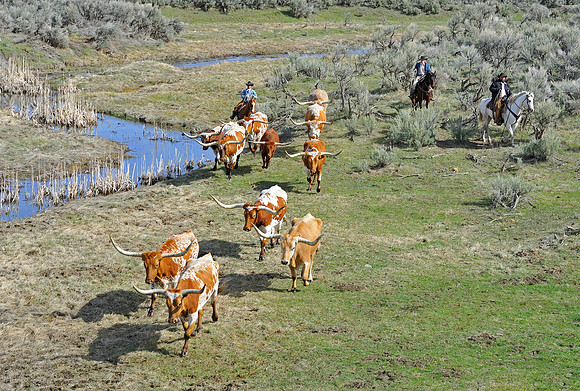 horse-ranch-sombrero-093
