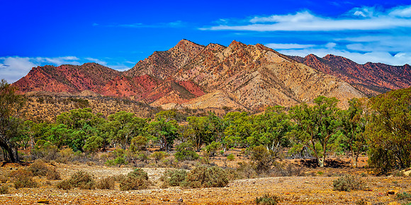 wilpena.pound.13_14..3.19.418