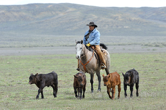 horse-ranch-sombrero-111