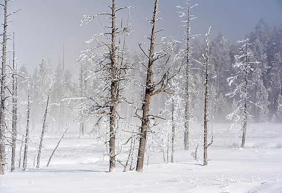 December