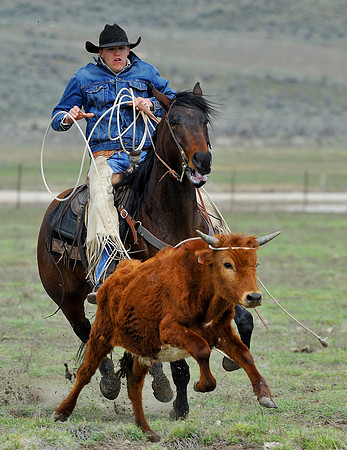 horse-ranch-sombrero-103P