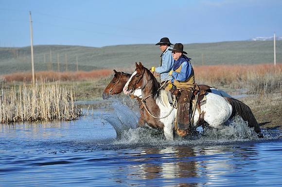 horse-ranch-sombrero-016