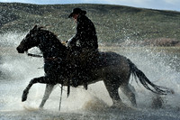 Colorado Cowboys and their Horses