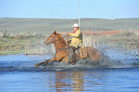 horse-ranch-sombrero-023