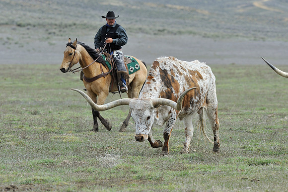 horse-ranch-sombrero-109