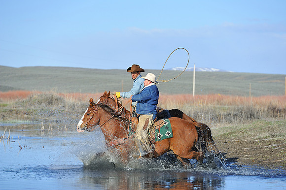 horse-ranch-sombrero-015
