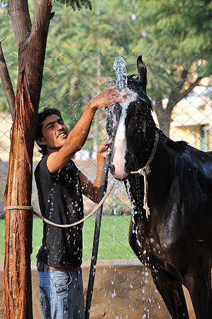81 Km Endurance Event Stables