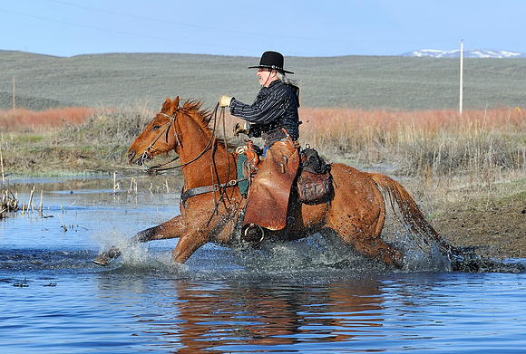 horse-ranch-sombrero-022