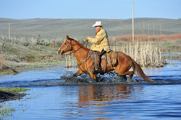 horse-ranch-sombrero-017