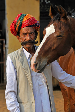 81 Km Endurance Event Stables