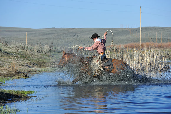 horse-ranch-sombrero-025
