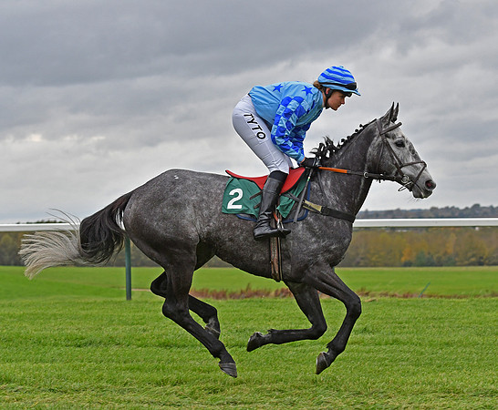 Miss K Lyons on Lined With Silver at Towcester